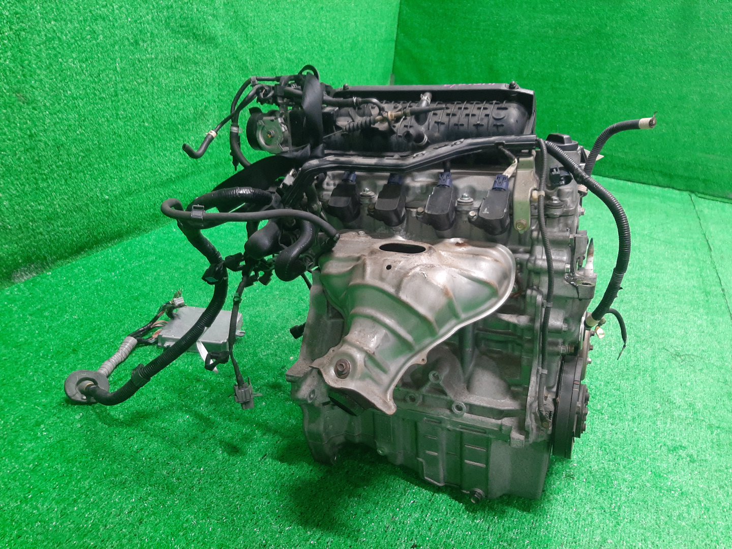 Двигатель HONDA FIT GD3, GD4 L15A VTEC 3 ракурс