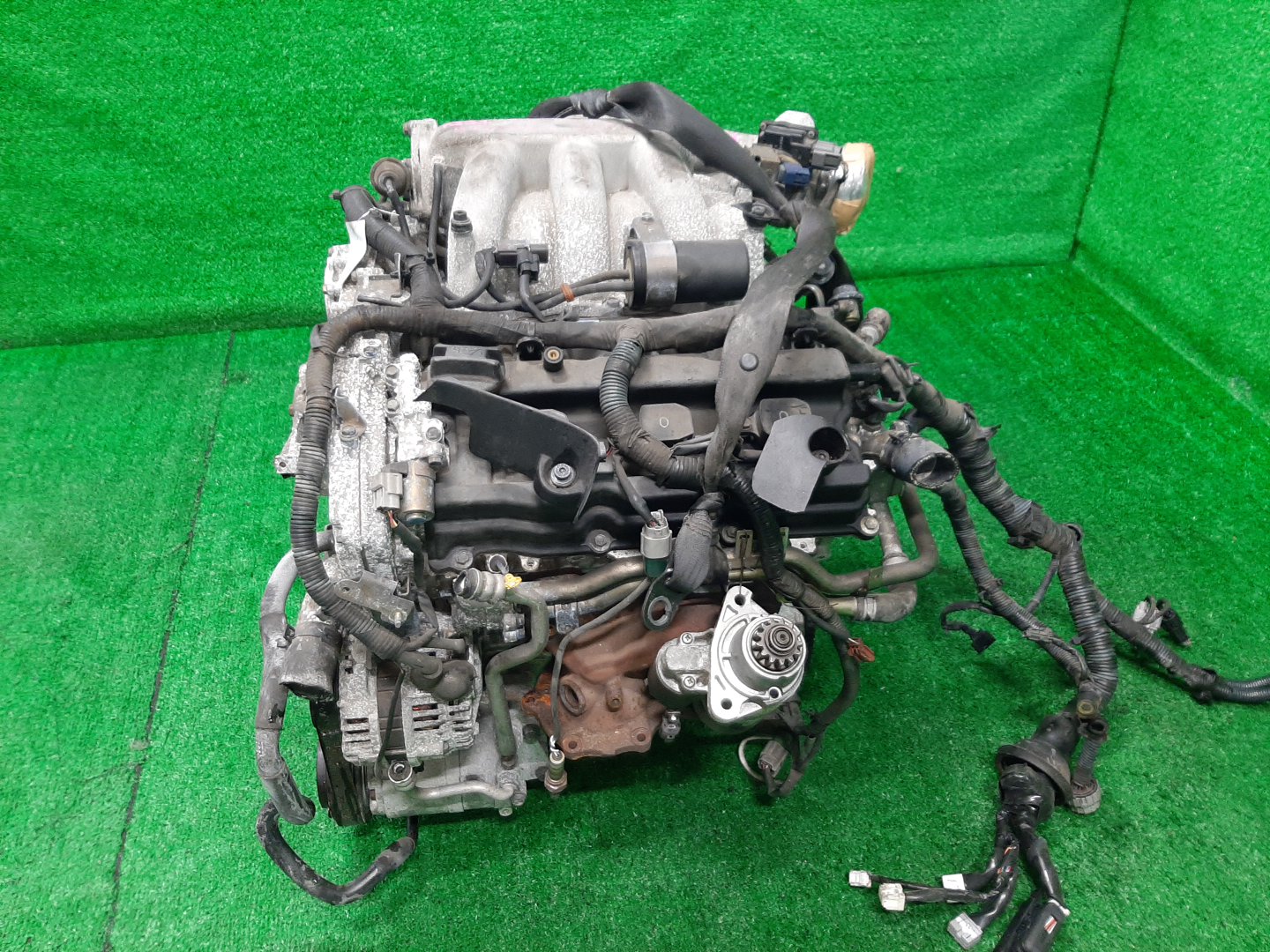 Двигатель NISSAN TEANA PJ31 VQ35DE 556716B 4 ракурс Двигатель NISSAN TEANA PJ31 VQ35DE 556716B 4 ракурс