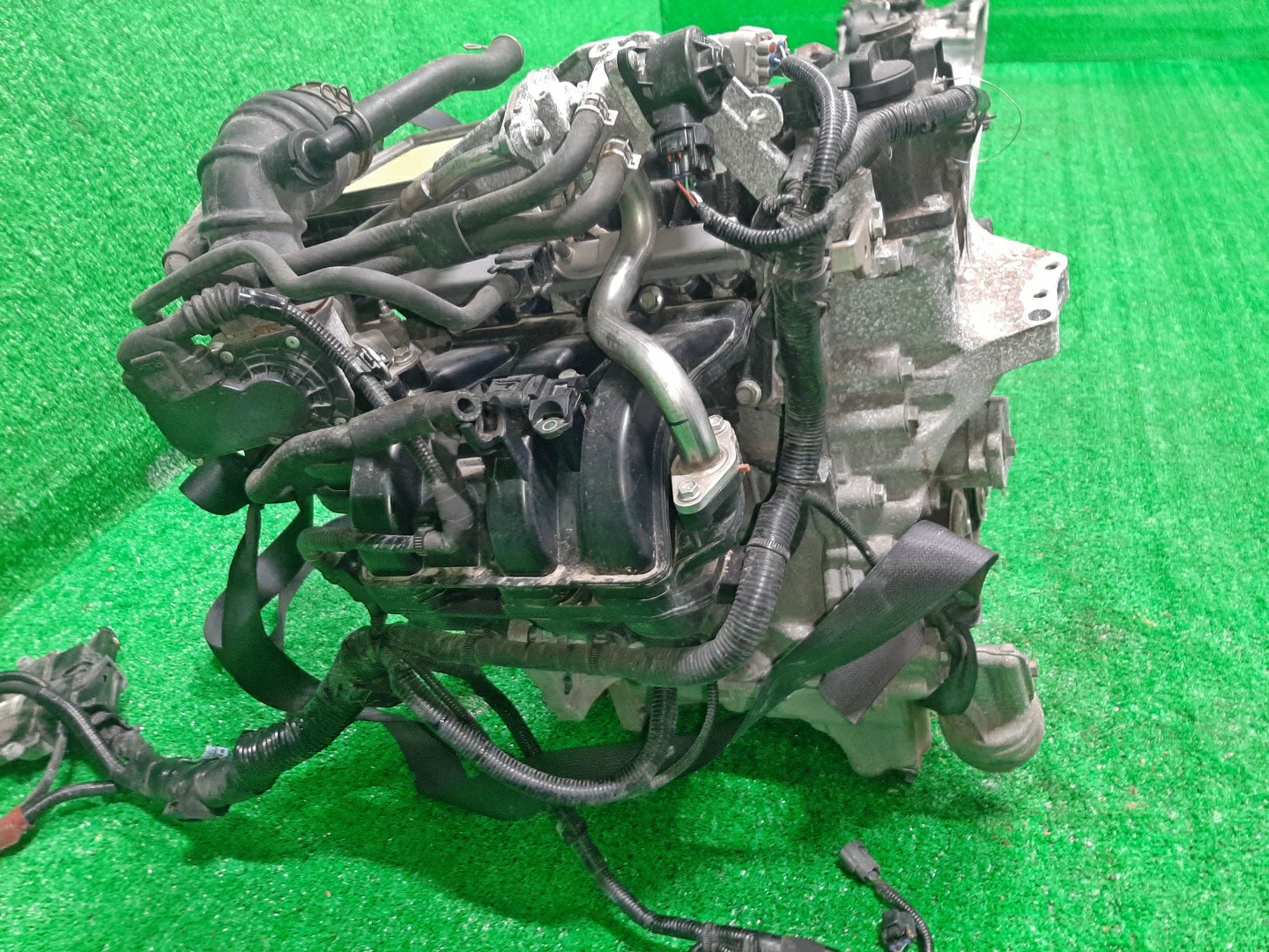 Двигатель TOYOTA PASSO, BOON M700A, M700S 1KR-FE 1626424 3 ракурс