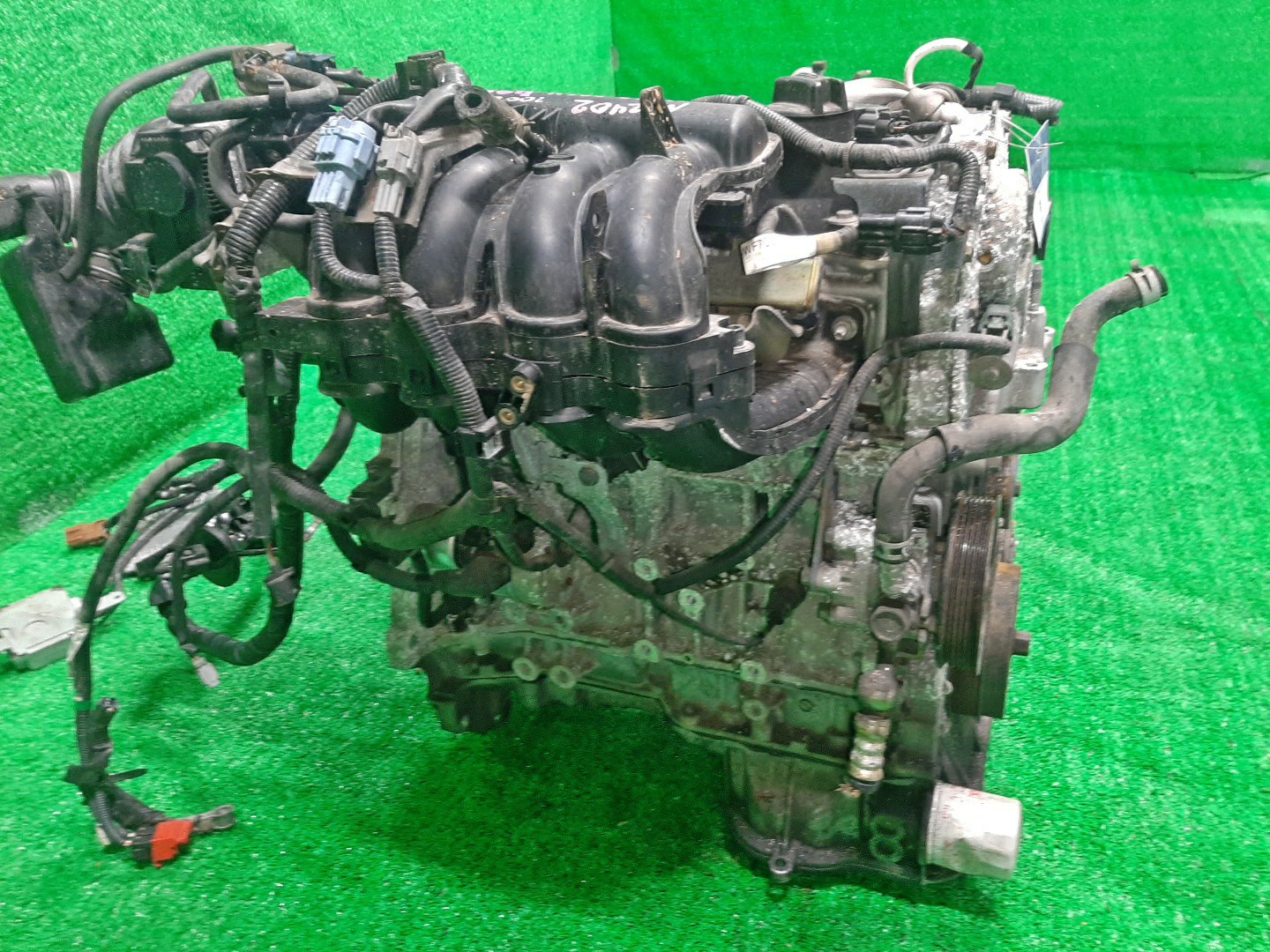 Двигатель NISSAN AVENIR, LIBERTY, PRIMERA RW11, RM12, TP12, WTP12 QR20DE 2MOD 3 ракурс