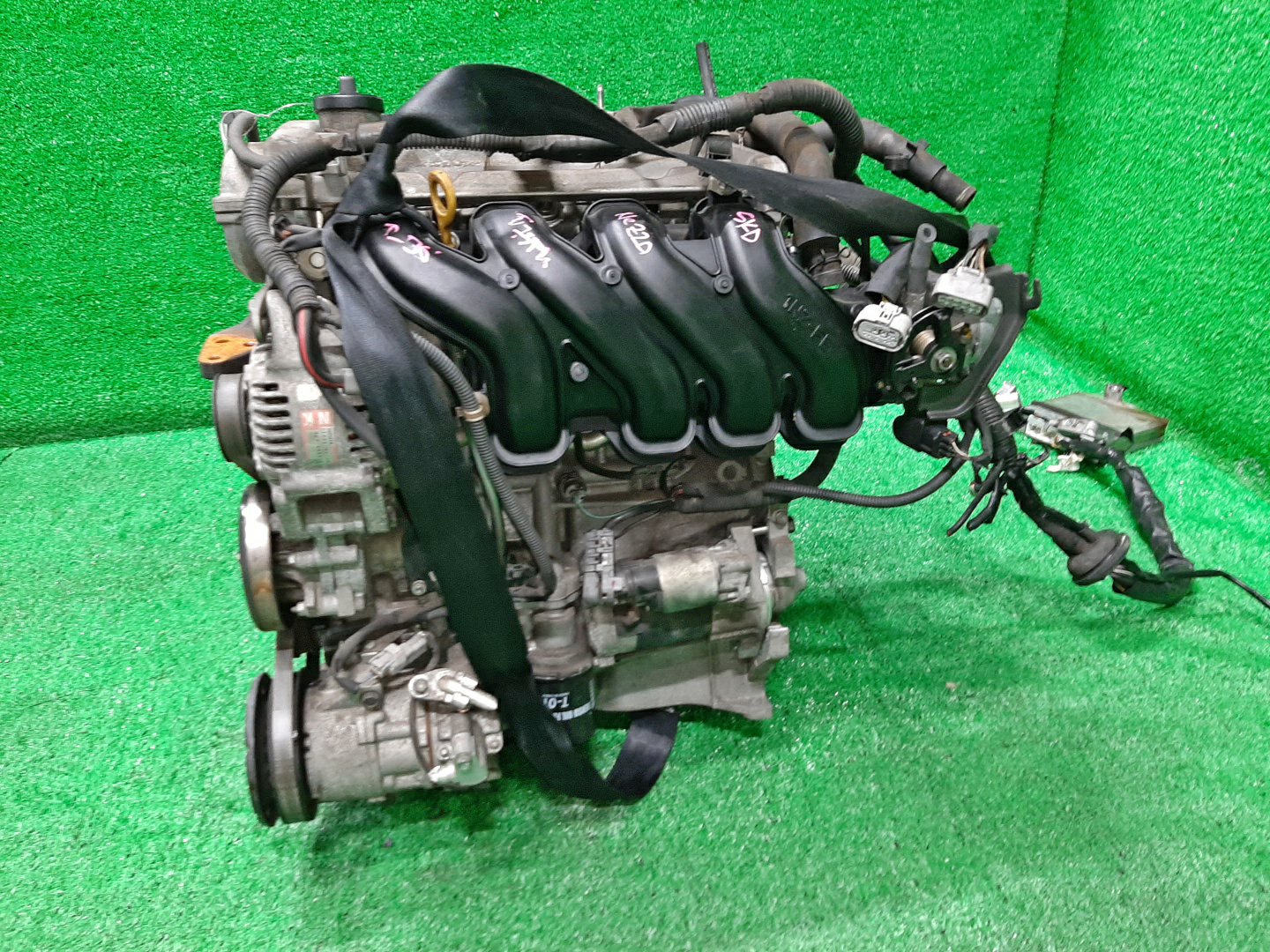 Двигатель TOYOTA FUNCARGO, IST, PLATZ, RAUM, VITZ, BB, PORTE NCP21, NCP61, NCP12, NCZ20, NCP13, NCP31, NNP11 1NZ-FE C263646 4 ракурс