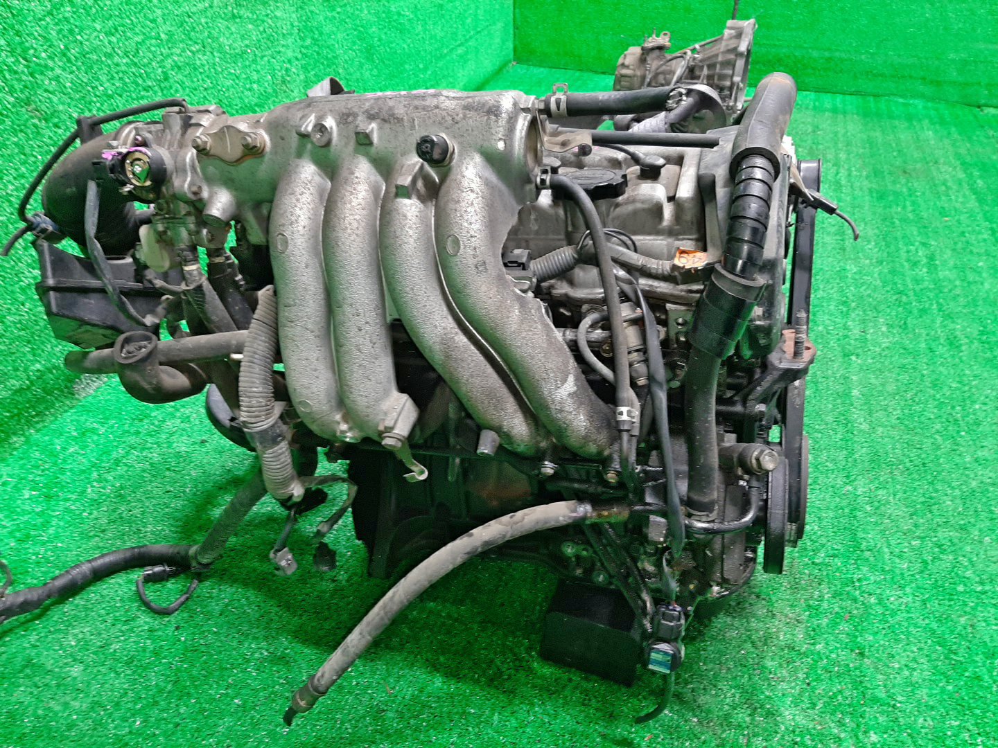 Двигатель TOYOTA CALDINA, CAMRY, CELICA, CORONA, CORONA EXIV, VISTA, CURREN, CARINA ED, CORONA PREMIO ST210G, ST191G, ST210, SV41, SV32, SV42, ST203, ST202, ST191, SV33, ST206, ST207 3S-FE KAT 3 ракурс