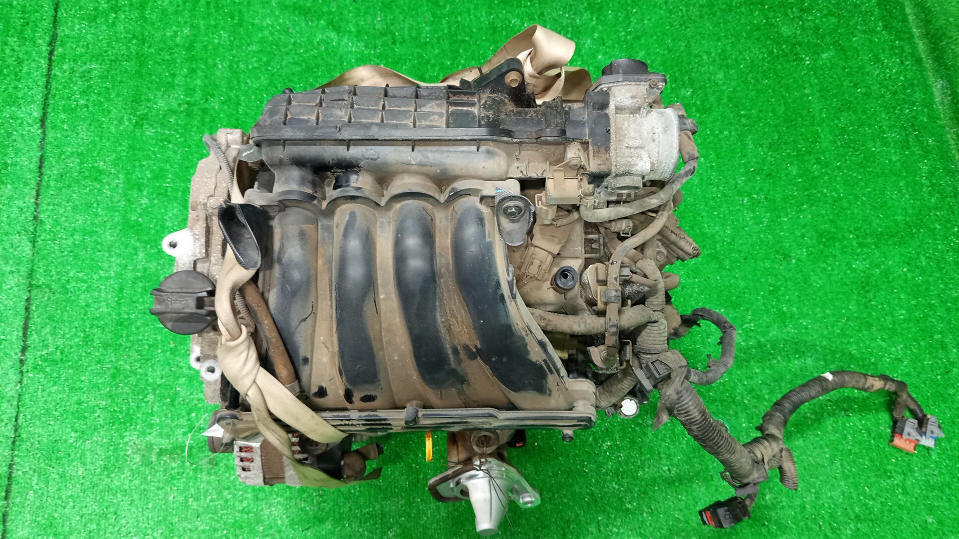 Двигатель NISSAN LAFESTA B30 MR20DE 182206A 1 ракурс