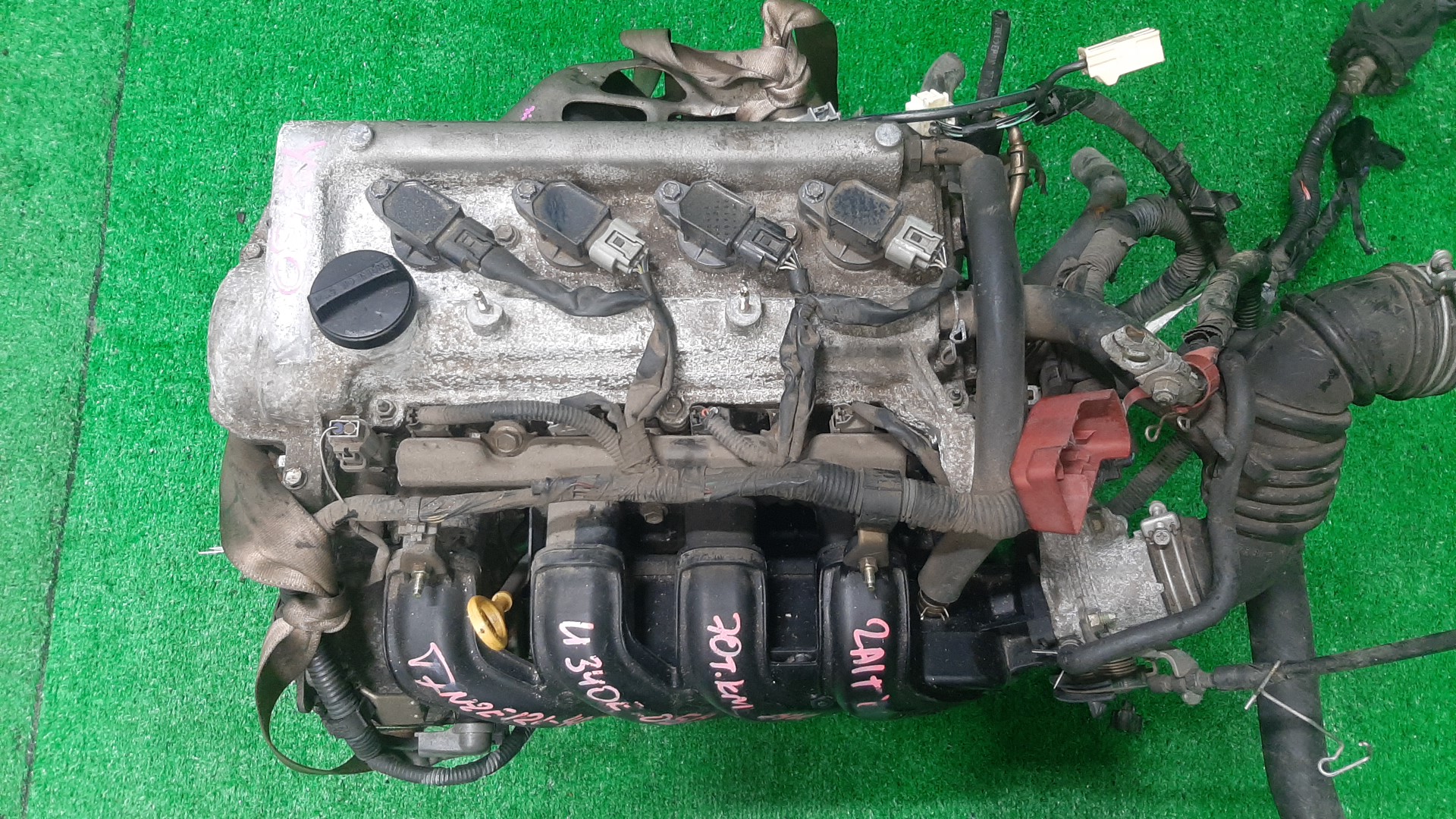 Двигатель TOYOTA COROLLA, COROLLA SPACIO, COROLLA FIELDER, ALLEX, COROLLA RUNX, WILL VS NZE121, NZE121N, NZE121G, NZE127 1NZ-FE MEX 1 ракурс