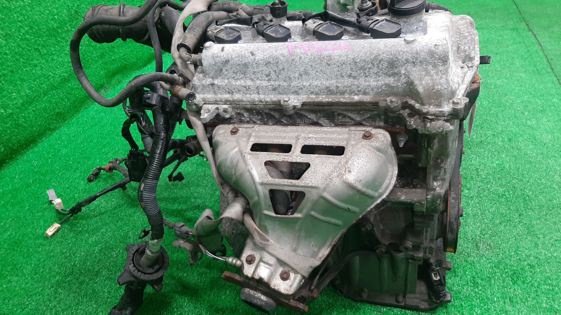 Двигатель TOYOTA COROLLA, COROLLA SPACIO, COROLLA FIELDER, ALLEX, COROLLA RUNX, WILL VS NZE121, NZE121N, NZE121G, NZE127 1NZ-FE MEX 4 ракурс