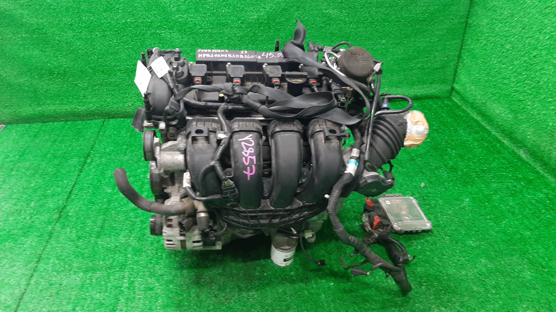 Двигатель FORD FOCUS CB8, BK, BM MGDA, XQDA DB36053 4 ракурс