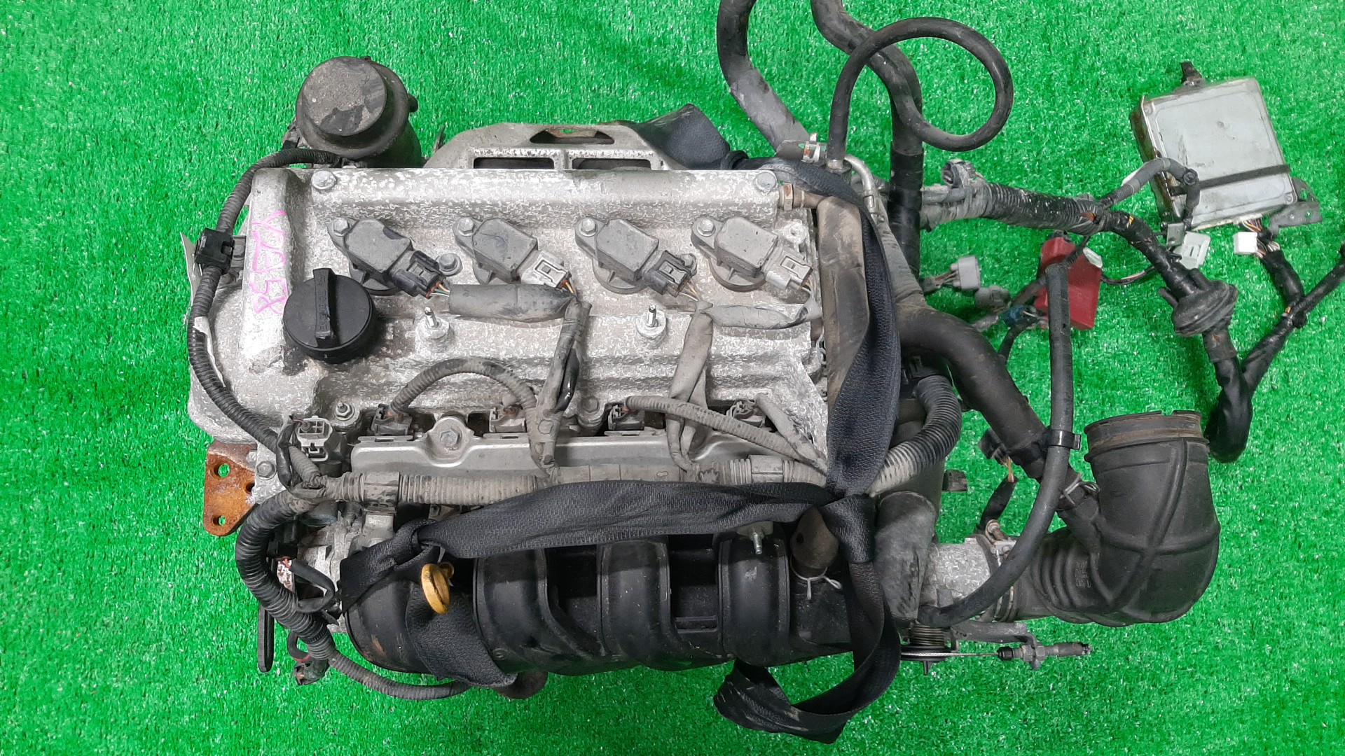 Двигатель TOYOTA FUNCARGO, IST, VITZ, WILL VI, PROBOX, BB, PORTE, WILL CYPHA NCP20, NCP60, NCP10, NCP19, NCP50V, NCP30, NNP10, NCP70 2NZ-FE 6758163 1 ракурс