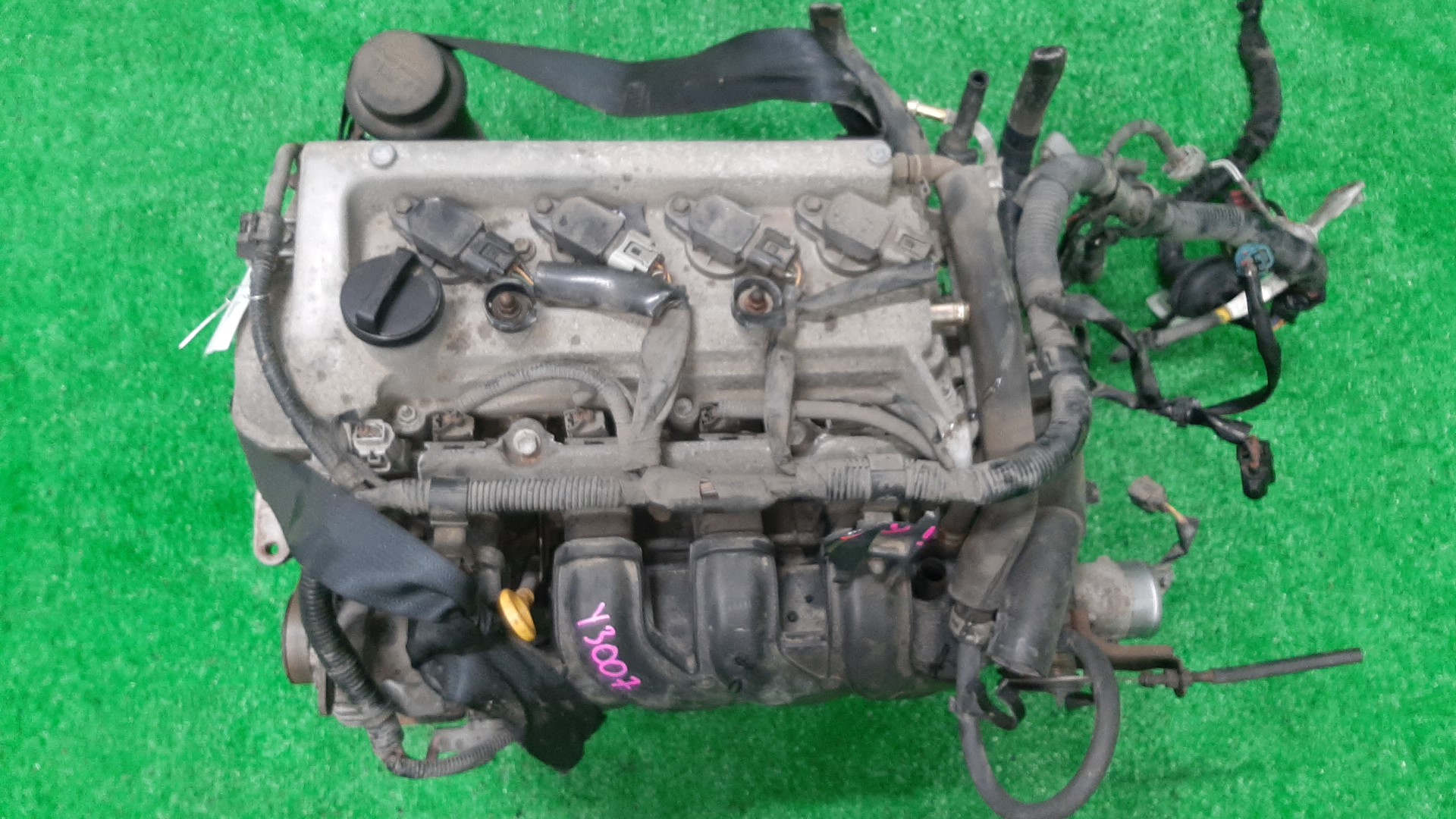Двигатель TOYOTA FUNCARGO, IST, PLATZ, RAUM, VITZ, PROBOX, BB, PORTE, SIENTA, SUCCEED, WILL CYPHA NCP25, NCP65, NCP16, NCZ25, NCP15, NCP55V, NCP59G, NCP35, NNP15, NCP85G, NCP75 1NZ-FE A669995 1 ракурс