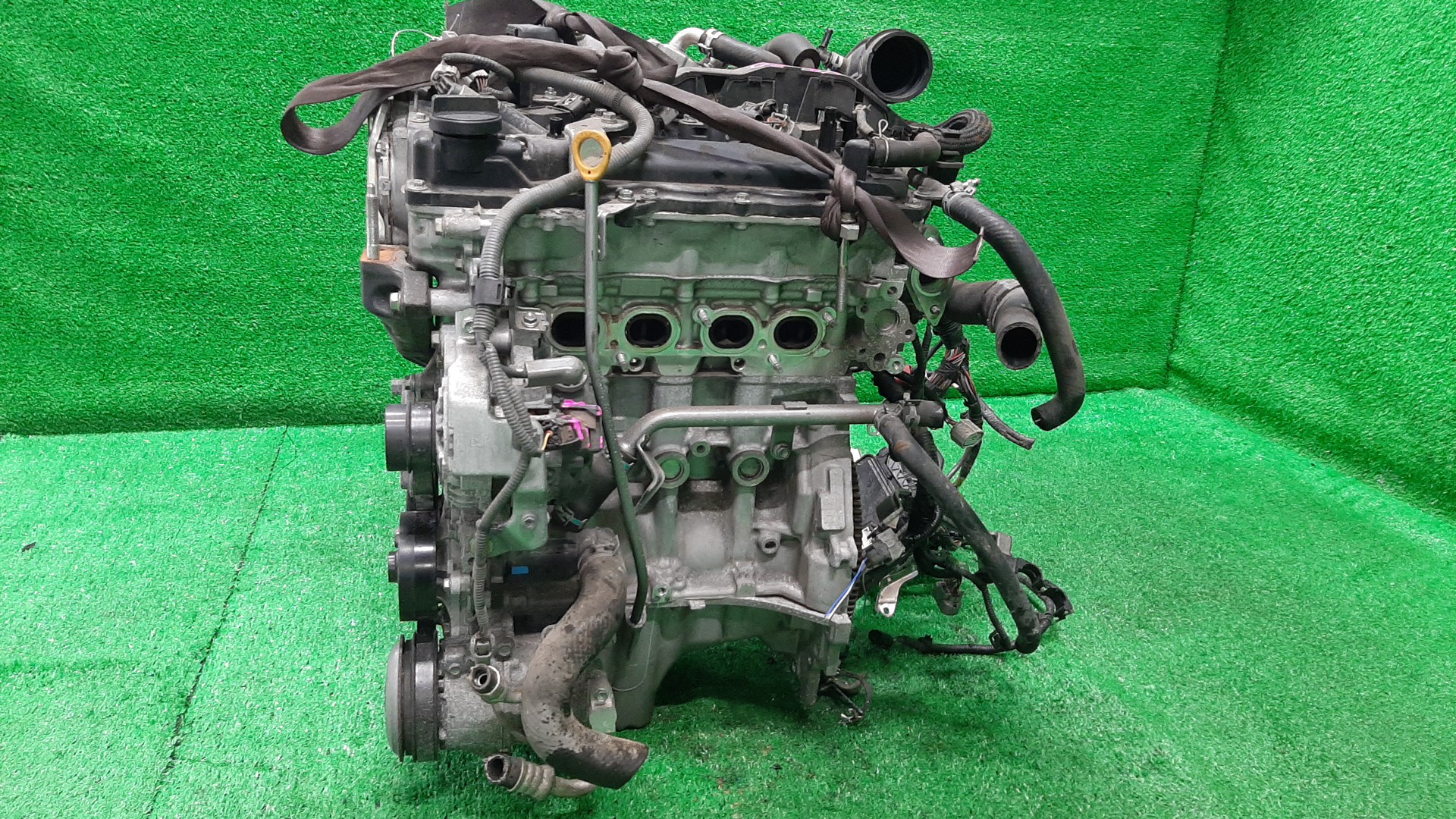 Двигатель TOYOTA AXIO, VITZ, PROBOX, COROLLA FIELDER, RACTIS, PORTE, SPADE, COROLLA  AXIO, FIELDER NRE160, NSP130, NSP160V, NRE161, NSP120, NSP122, NSP140 1NR-FE 8453173 3 ракурс
