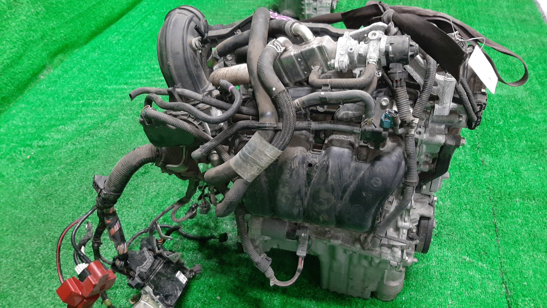 Двигатель TOYOTA AXIO, VITZ, PROBOX, COROLLA FIELDER, RACTIS, PORTE, SPADE, COROLLA  AXIO, FIELDER NRE160, NSP130, NSP160V, NRE161, NSP120, NSP122, NSP140 1NR-FE 8453173 4 ракурс
