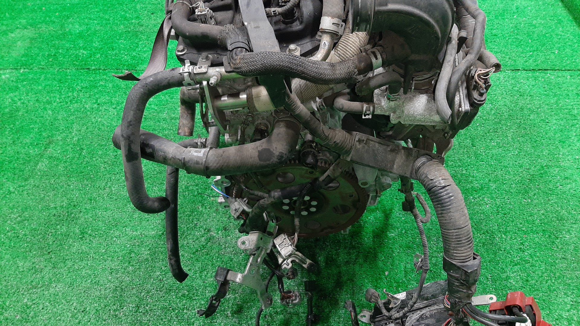 Двигатель TOYOTA AXIO, VITZ, PROBOX, COROLLA FIELDER, RACTIS, PORTE, SPADE, COROLLA  AXIO, FIELDER NRE160, NSP130, NSP160V, NRE161, NSP120, NSP122, NSP140 1NR-FE 8453173 5 ракурс