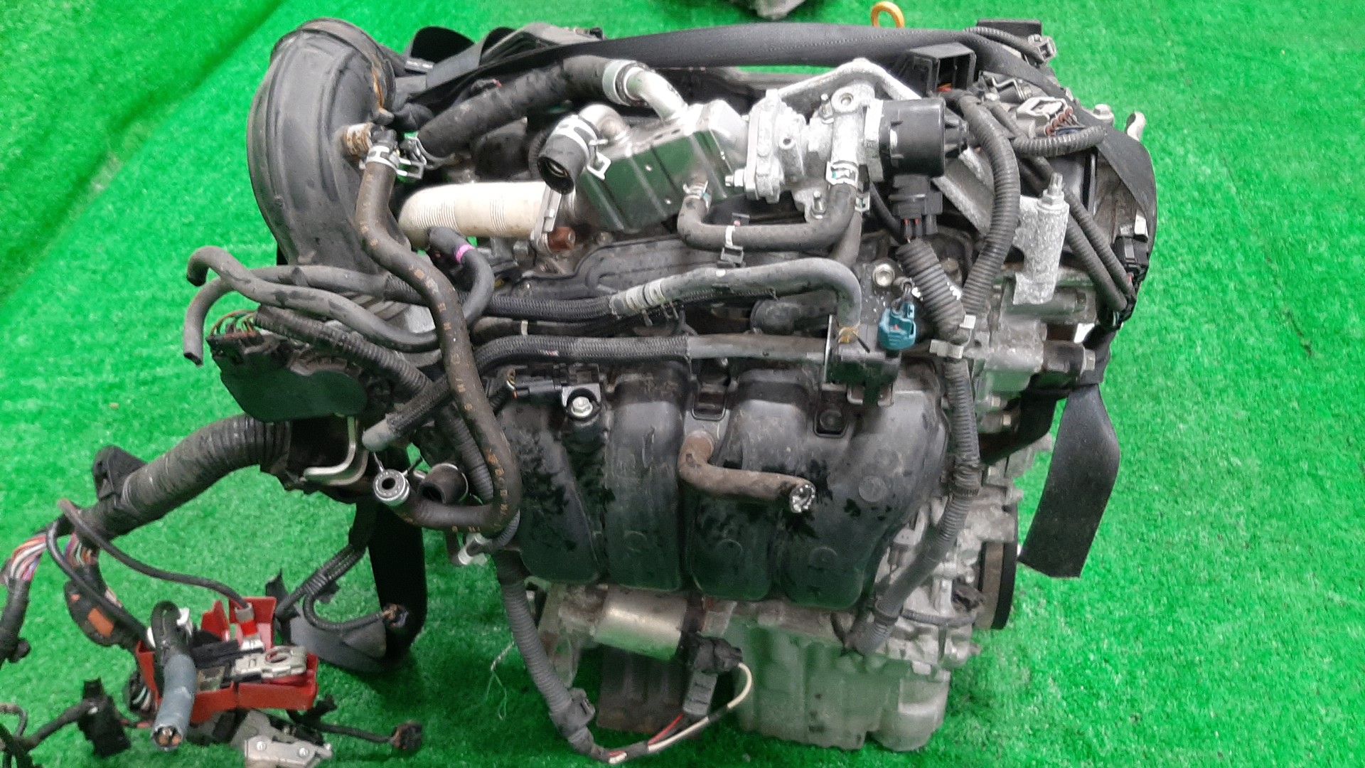 Двигатель TOYOTA VITZ, RACTIS NSP130, NSP120, NSP122 1NR-FKE 8397494 4 ракурс