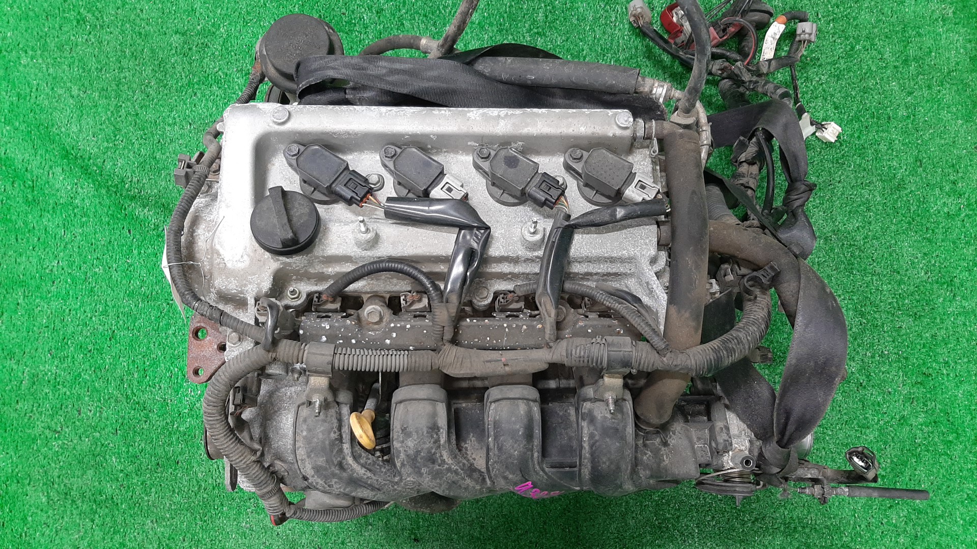 Двигатель TOYOTA FUNCARGO, IST, VITZ, WILL VI, PROBOX, BB, PORTE, WILL CYPHA NCP20, NCP60, NCP10, NCP19, NCP50V, NCP30, NNP10, NCP70 2NZ-FE 3534818 1 ракурс