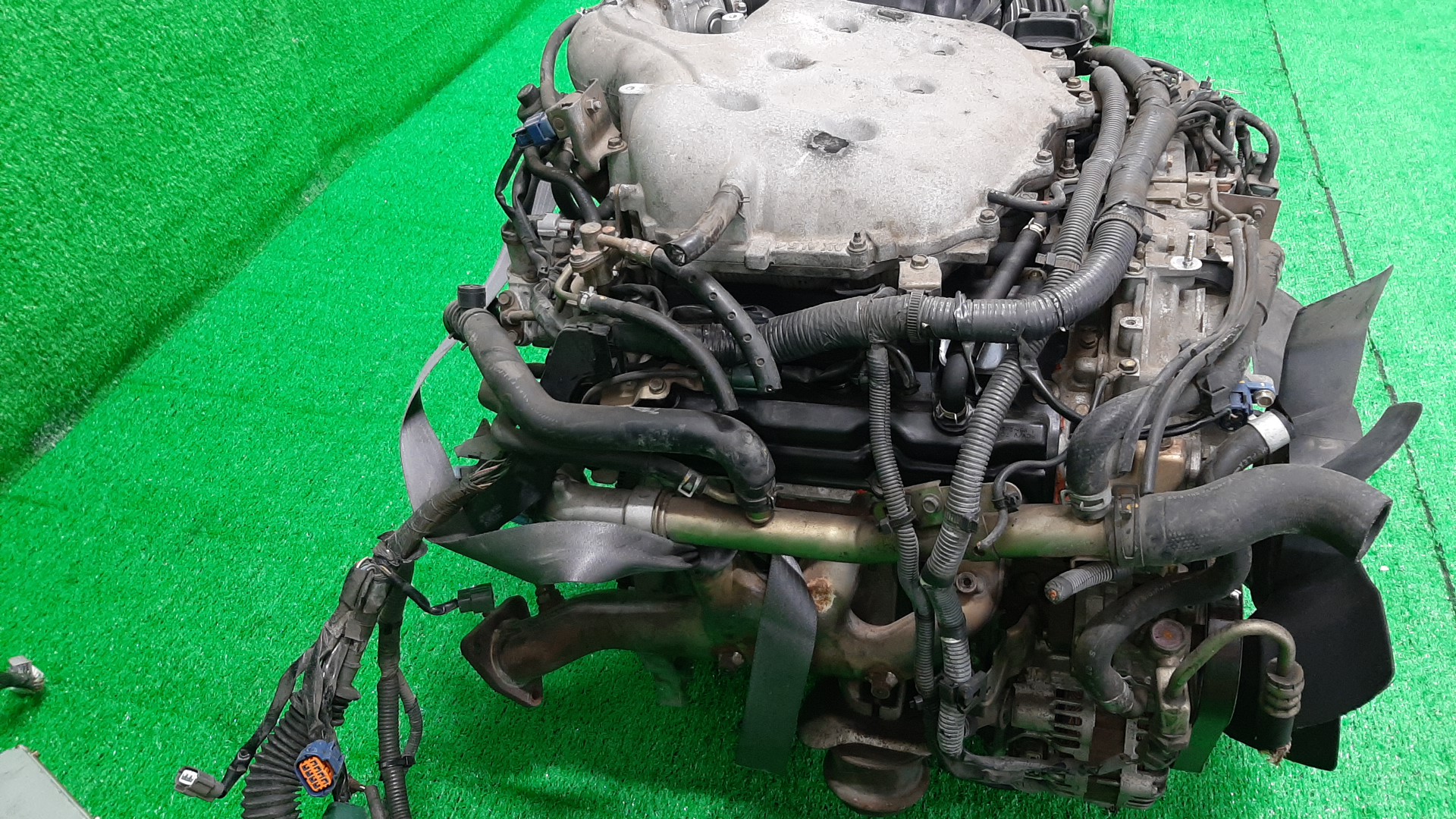 Двигатель NISSAN SKYLINE, STAGEA V35, M35 VQ25DD 260493A 4 ракурс Двигатель NISSAN SKYLINE, STAGEA V35, M35 VQ25DD 260493A 4 ракурс