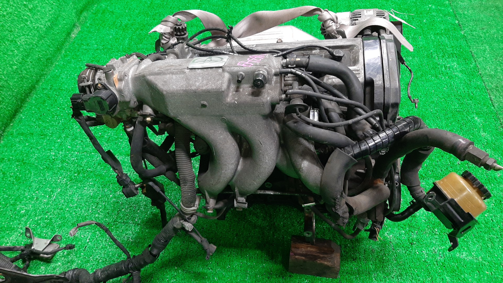 Двигатель TOYOTA CAMRY, CELICA, CORONA EXIV, VISTA, CARINA ED SV32, SV33, ST182, ST183 3S-FE TPAM 4 ракурс