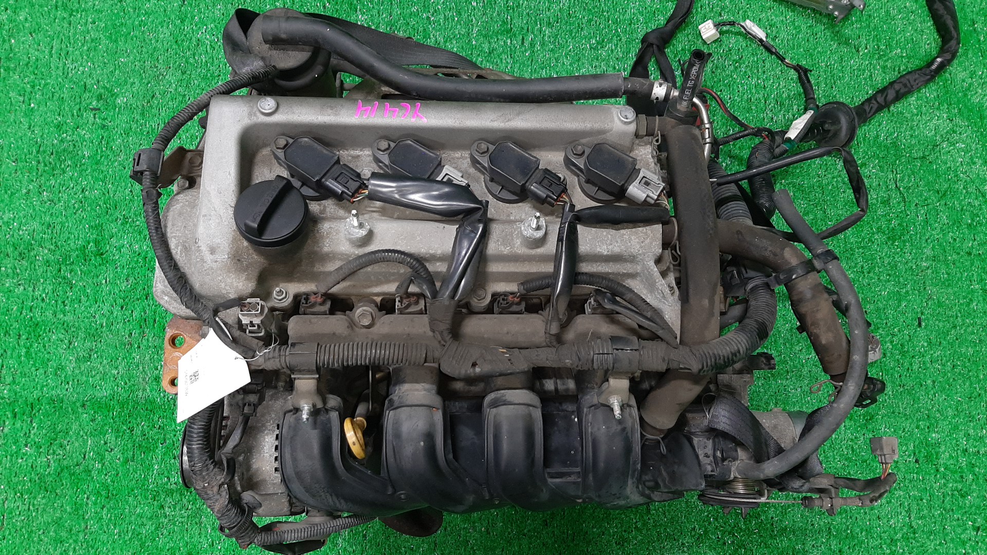 Двигатель TOYOTA FUNCARGO, IST, VITZ, WILL VI, PROBOX, BB, PORTE, WILL CYPHA NCP20, NCP60, NCP10, NCP19, NCP50V, NCP30, NNP10, NCP70 2NZ-FE 3699425 1 ракурс