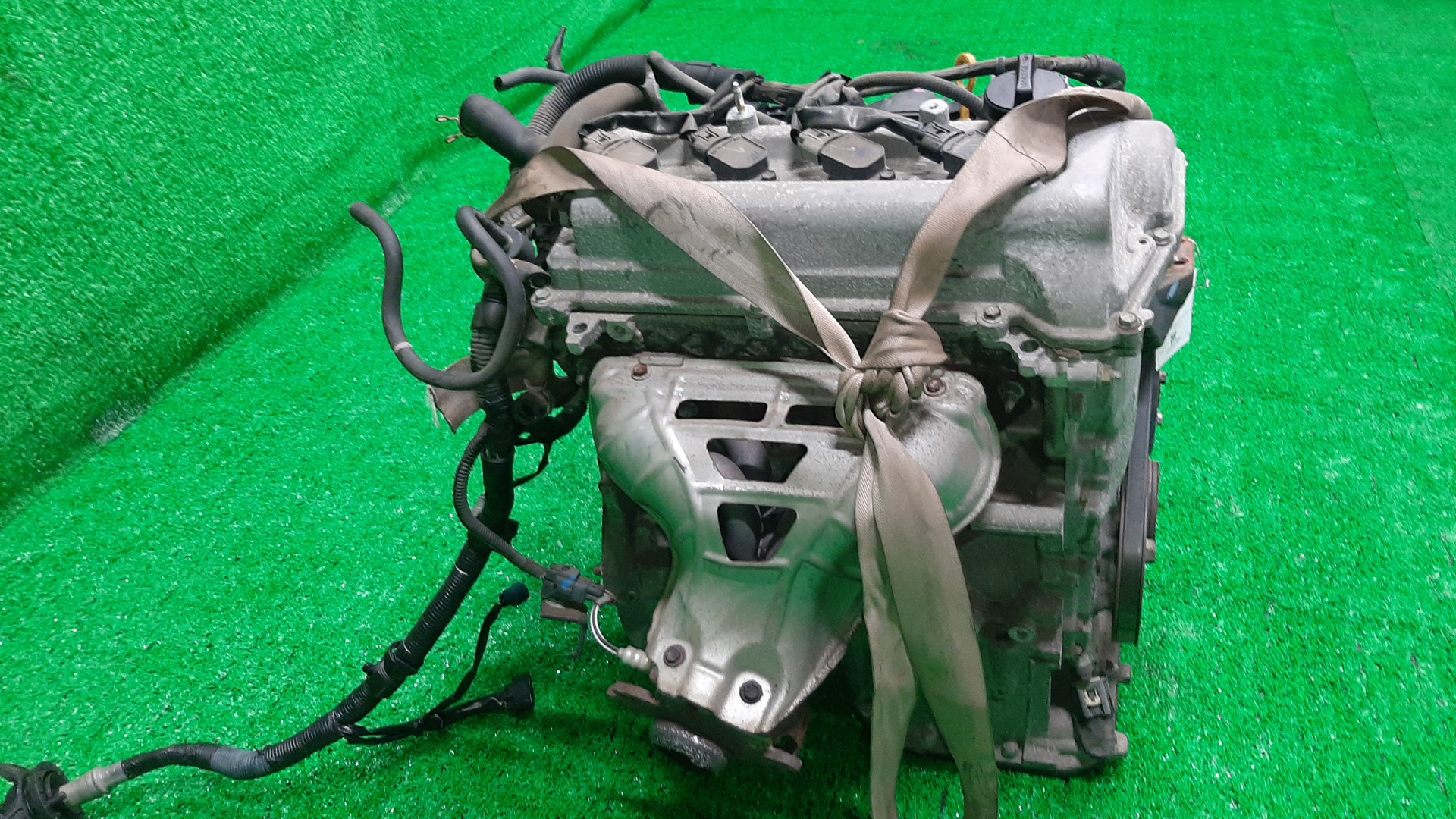 Двигатель TOYOTA COROLLA, COROLLA SPACIO, COROLLA FIELDER, ALLEX, COROLLA RUNX, WILL VS NZE121, NZE121N, NZE121G, NZE127 1NZ-FE MEX 3 ракурс