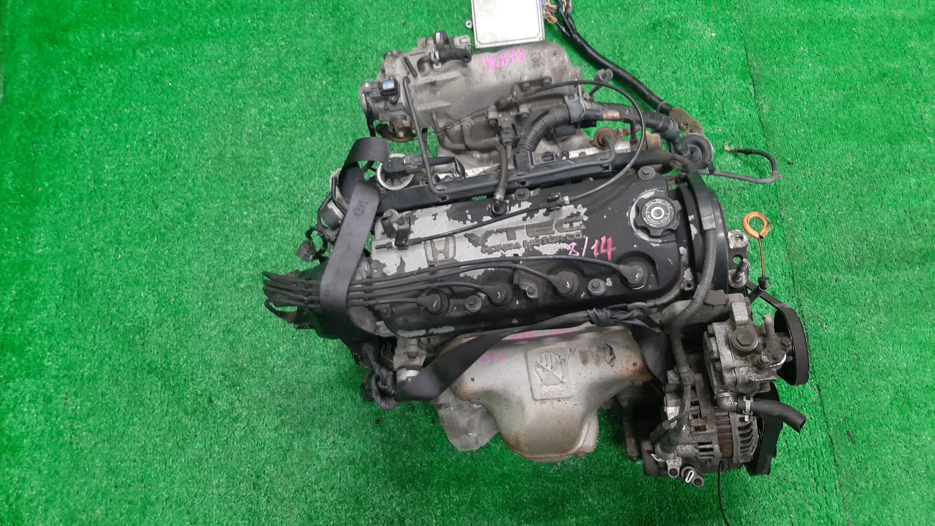 Двигатель HONDA ODYSSEY RA6, RA7 F23A 2351282 1 ракурс