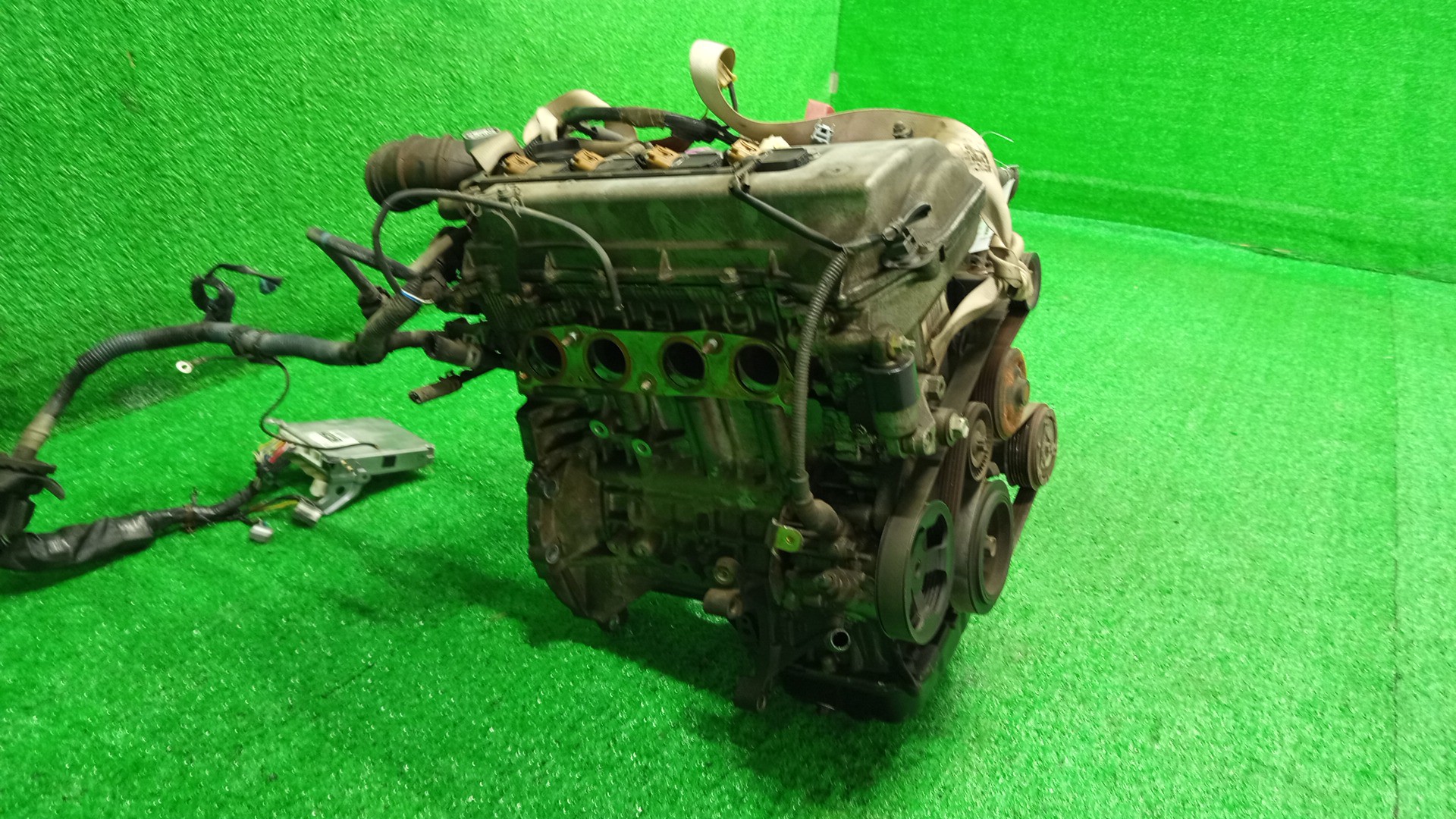 Двигатель TOYOTA COROLLA, PREMIO, COROLLA SPACIO, WISH, ALLION, COROLLA FIELDER, ALLEX, COROLLA RUNX, VOLTZ, WILL VS ZZE124, ZZT245, ZZE124N, ZNE14G, ZZE124G, ZZE138, ZZE129 1ZZ-FE MEX 3 ракурс