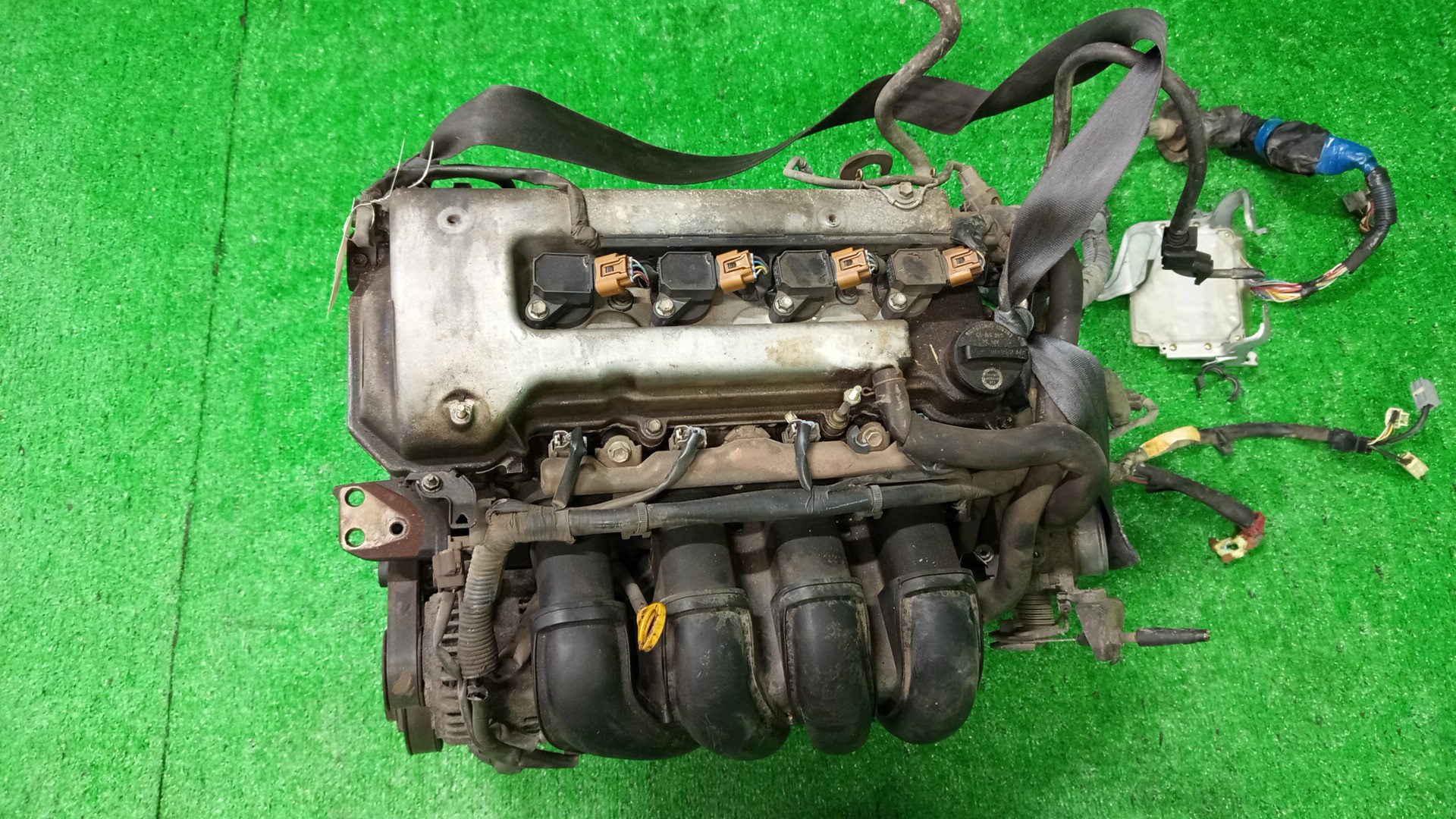 Двигатель TOYOTA COROLLA, PREMIO, COROLLA SPACIO, WISH, ALLION, COROLLA FIELDER, ALLEX, COROLLA RUNX, VOLTZ, WILL VS ZZE124, ZZT245, ZZE124N, ZNE14G, ZZE124G, ZZE138, ZZE129 1ZZ-FE MEX 1 ракурс