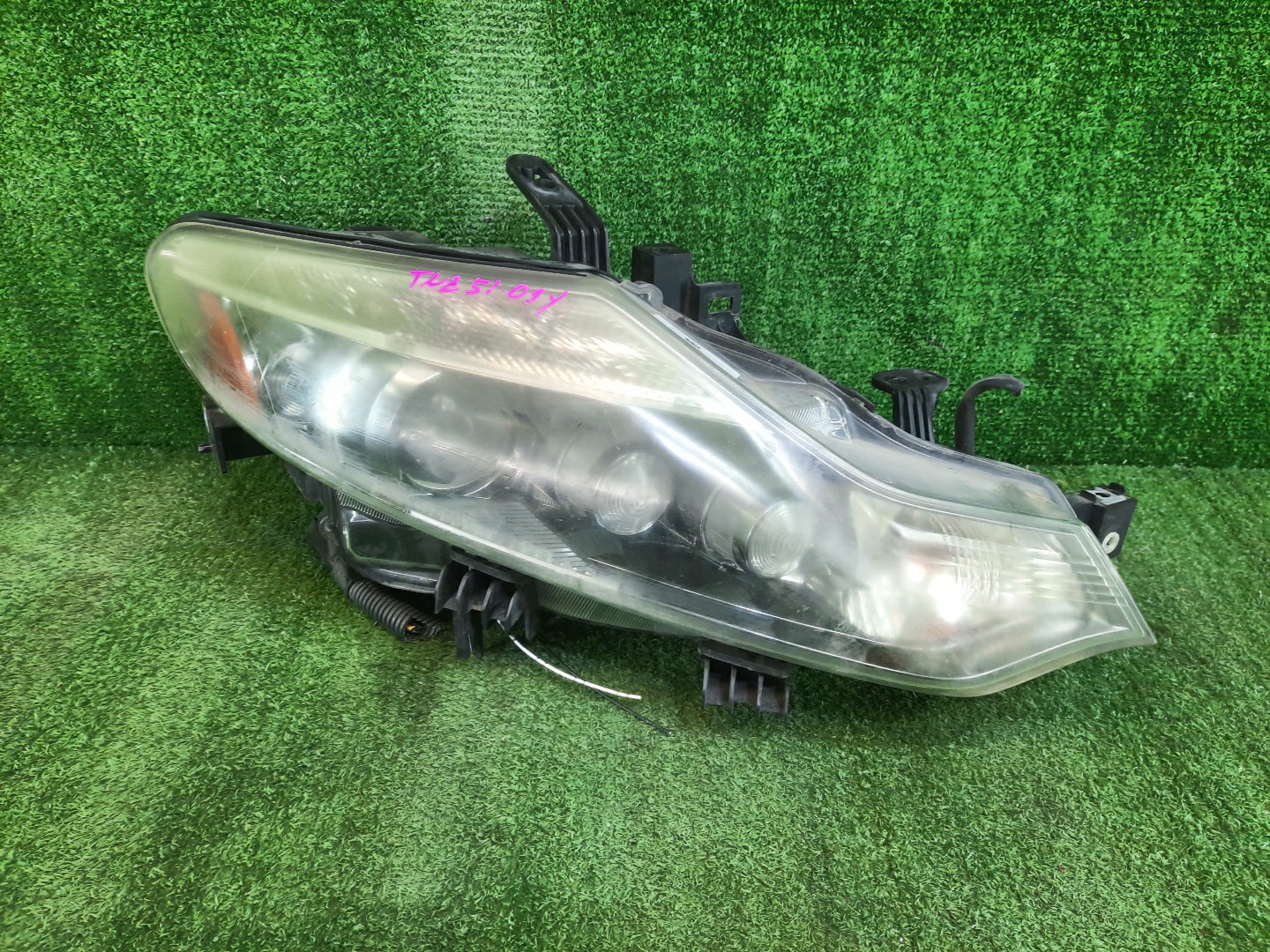 Фара правая передняя NISSAN MURANO TZ51, TNZ51, Z51, PNZ51 1 ракурс