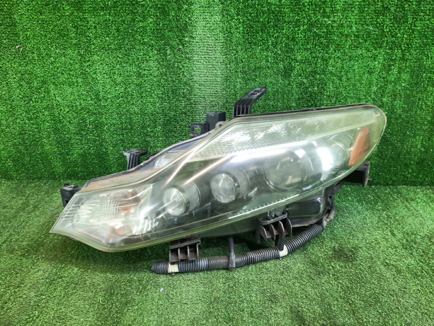Фара левая передняя NISSAN MURANO TZ51, TNZ51, Z51, PNZ51 1 ракурс