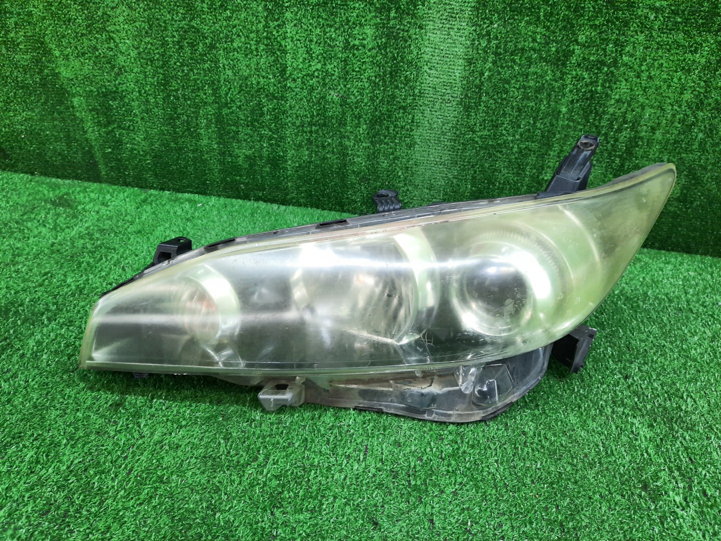 Фара левая передняя  TOYOTA WISH ZGE20W, ZGE20G, ZGE25W, ZGE21G, ZGE22W, ZGE25G 1 ракурс