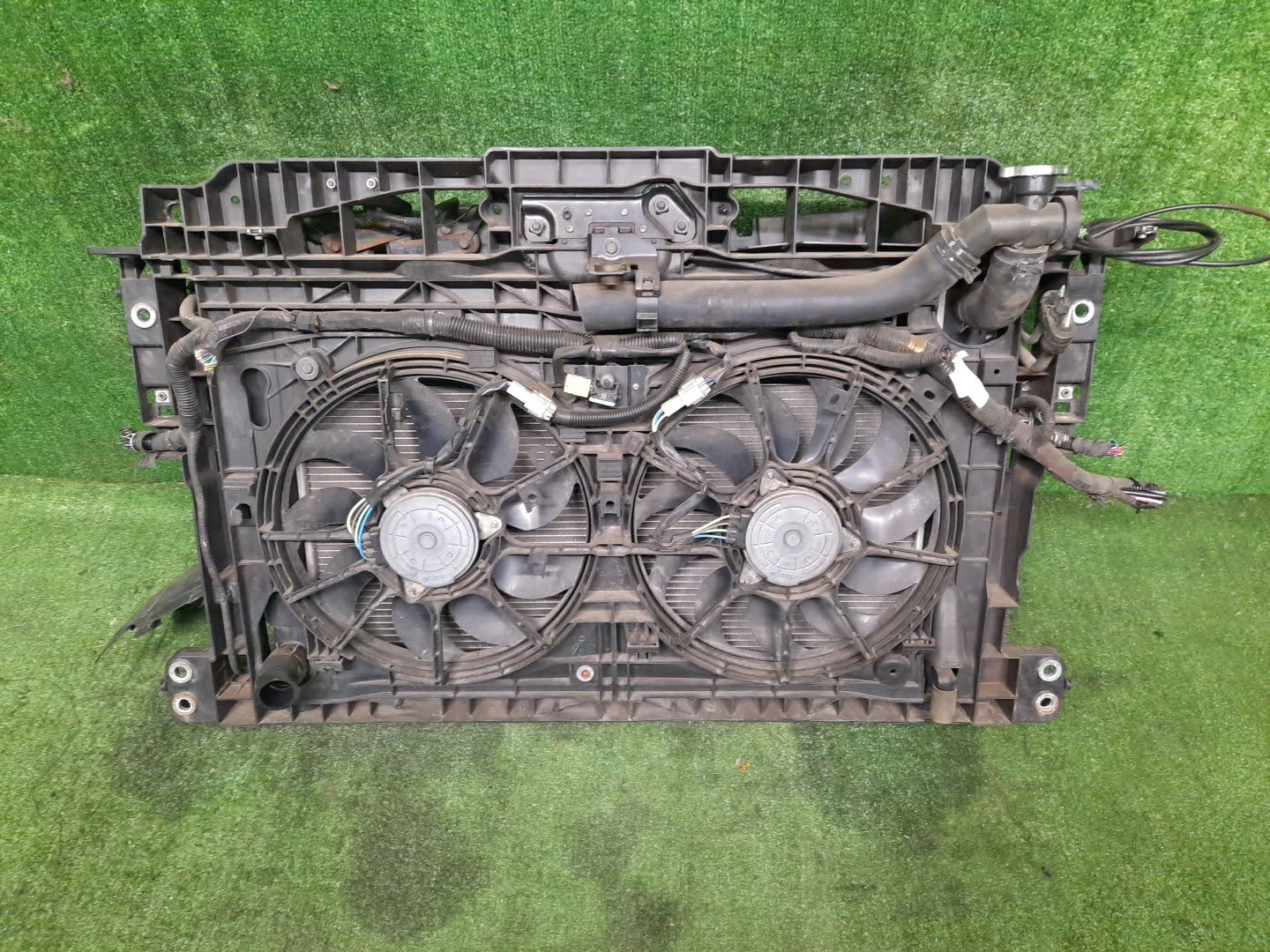 Рамка радиатора NISSAN ELGRAND E52 1556 2 ракурс
