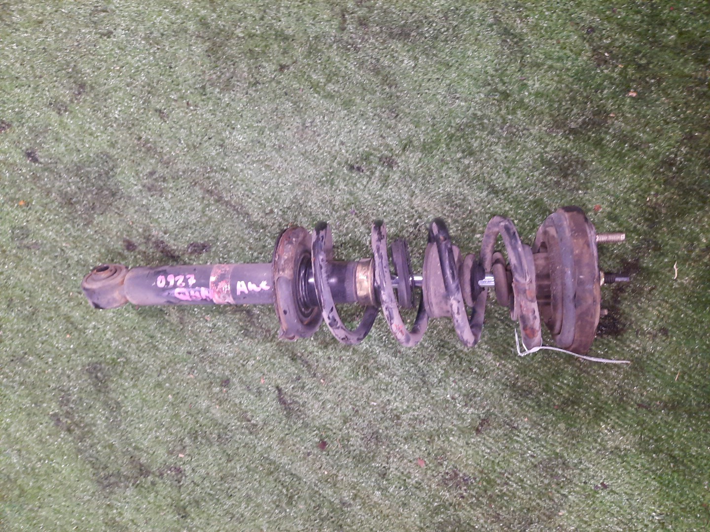 Стойка правая задняя NISSAN BLUEBIRD, PRIMERA QU14, HU14, EU14, P11, WP11, QP11, HP11, WQP11, WHP11 QG18DE, QG18DD, SR20DE, SR20VE, SR18DE 1 ракурс