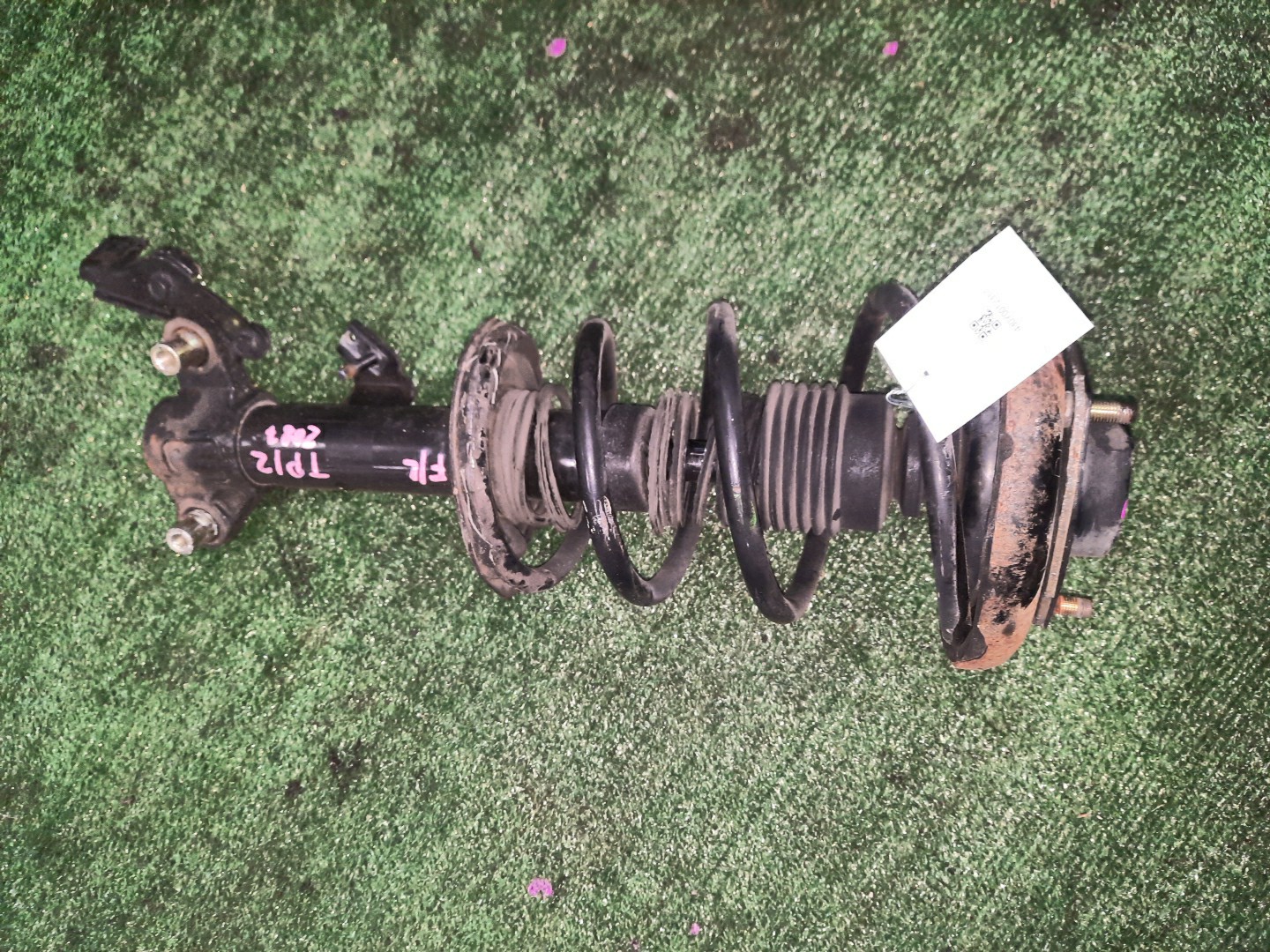 Стойка правая передняя NISSAN PRIMERA P12, QP12, TP12, HP12, RP12, WTP12, WHP12, WRP12 QR20DE, QG18DE, SR20VE, QR25DD 1 ракурс