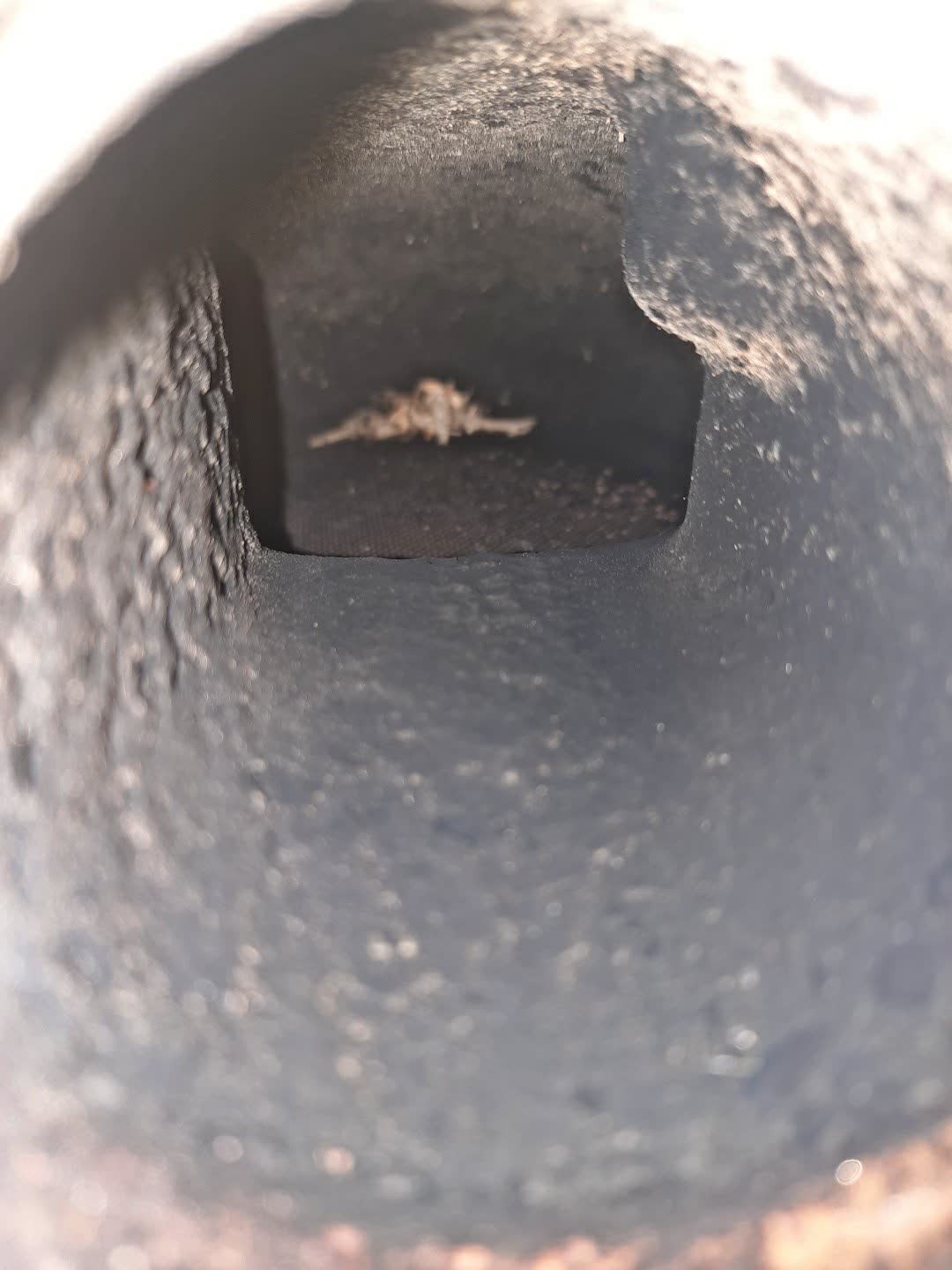 Катализатор NISSAN PRESAGE VU30 YD25DDTI L1477 2 ракурс