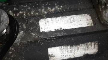 АКПП НА HONDA AVANCIER TA1 F23A