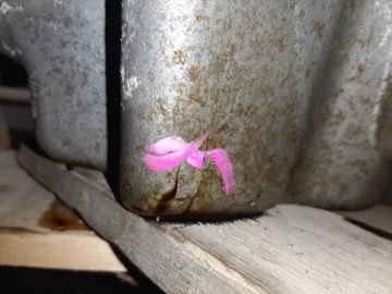 ДВИГАТЕЛЬ НА MAZDA MPV LW3W L3-DE