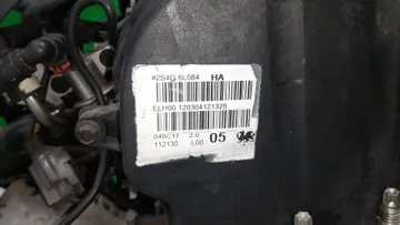 ДВИГАТЕЛЬ НА FORD FOCUS DNW EDDF