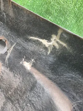 БАМПЕР НА MAZDA AXELA BK3P