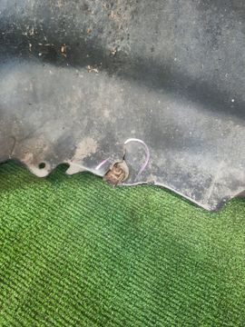 БАМПЕР НА HONDA FIT GD1