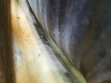 БАМПЕР НА NISSAN MURANO Z50 