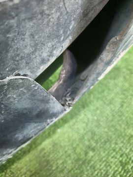 БАМПЕР НА NISSAN CIMA Y33