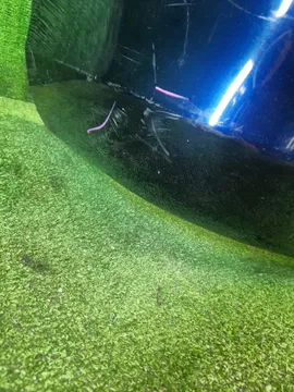 БАМПЕР НА TOYOTA FIELDER NZE141