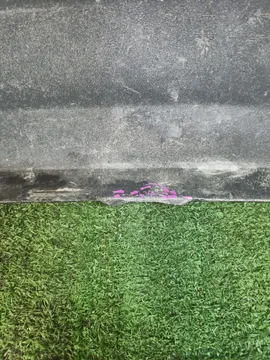 БАМПЕР НА TOYOTA WISH ZNE10G