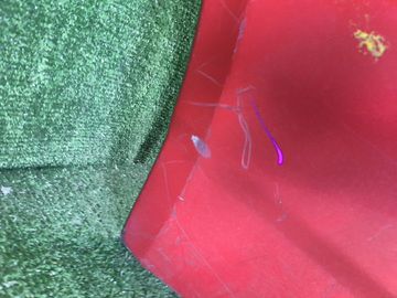 БАМПЕР НА TOYOTA COROLLA FIELDER ZZE122G