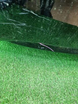 БАМПЕР НА HONDA CIVIC FD1