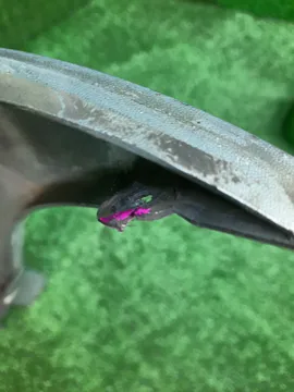 БАМПЕР НА SUBARU TRAVIQ XM220