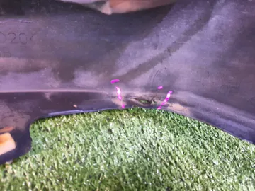 БАМПЕР НА TOYOTA PRIUS ZVW30