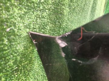 БАМПЕР НА MAZDA ATENZA GHEFP