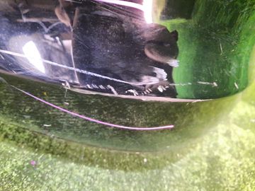 БАМПЕР НА HONDA INSIGHT ZE2
