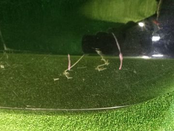 БАМПЕР НА HONDA INSIGHT ZE2