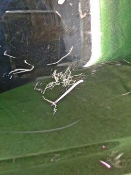 БАМПЕР НА HONDA FIT GE7