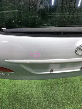 ДВЕРЬ ПЯТАЯ НА TOYOTA IPSUM ACM21W