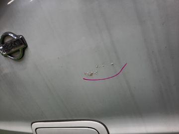 ДВЕРЬ ПЯТАЯ НА NISSAN LIBERTY PM12